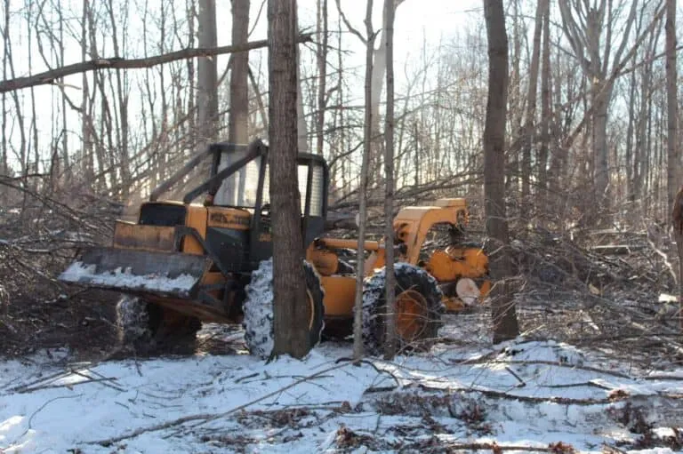 Land Clearing Services Near Me