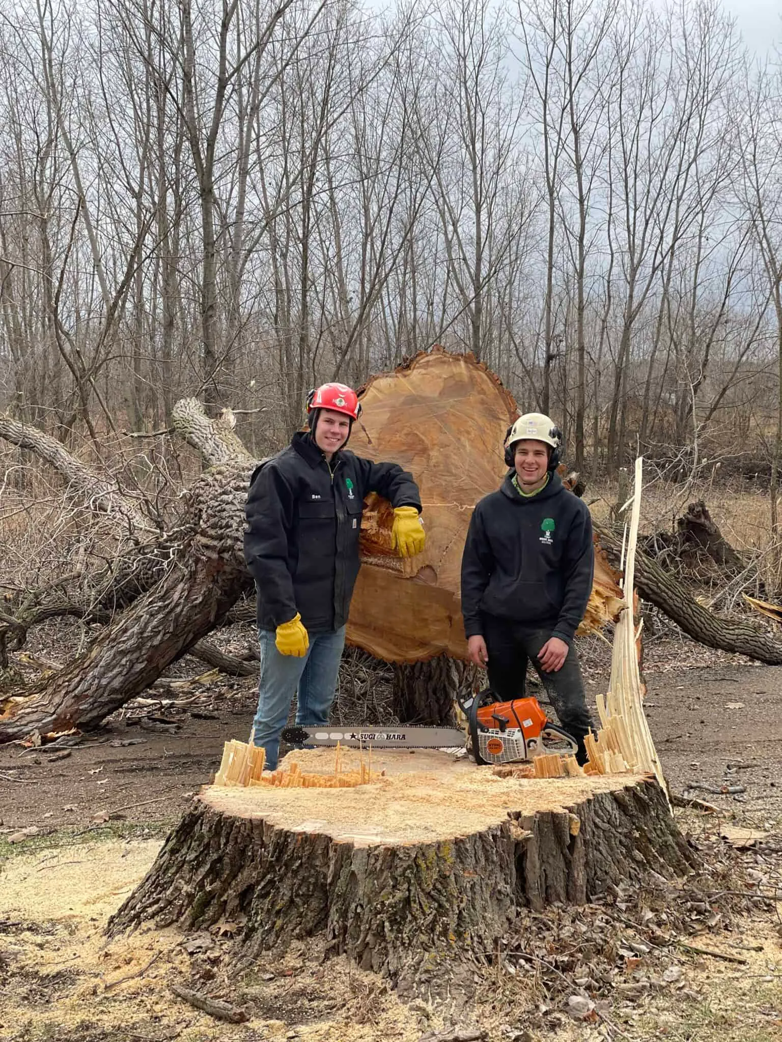 Land Clearing Services
